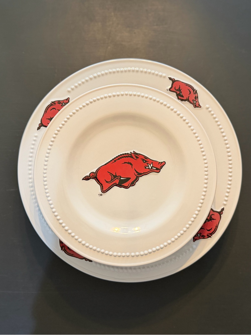 RARE - Arkansas Razorback dinnerware